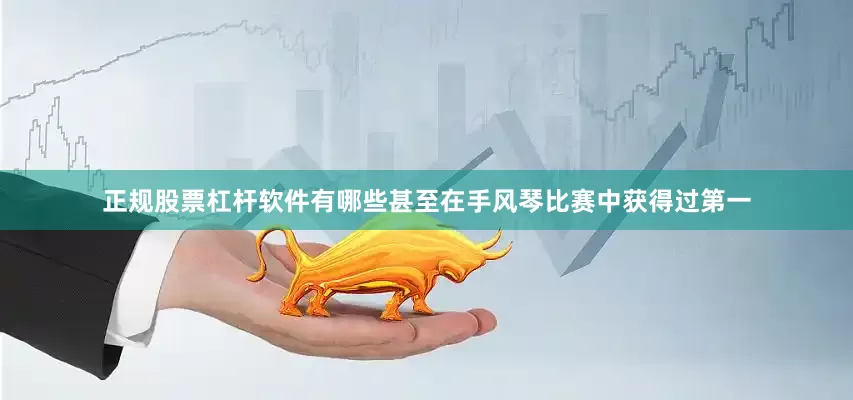 正规股票杠杆软件有哪些甚至在手风琴比赛中获得过第一