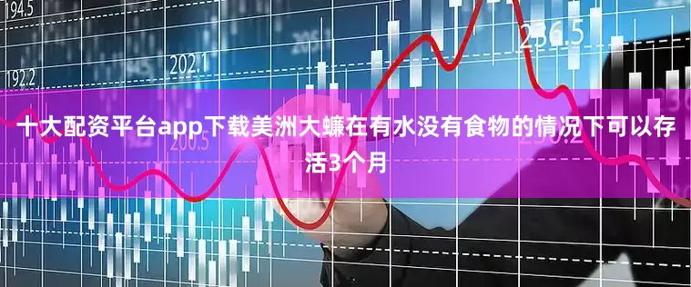 十大配资平台app下载美洲大蠊在有水没有食物的情况下可以存活3个月