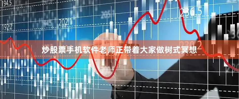 炒股票手机软件老师正带着大家做树式冥想
