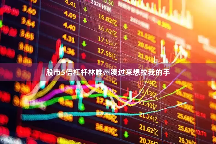 股市5倍杠杆林唯州凑过来想拉我的手