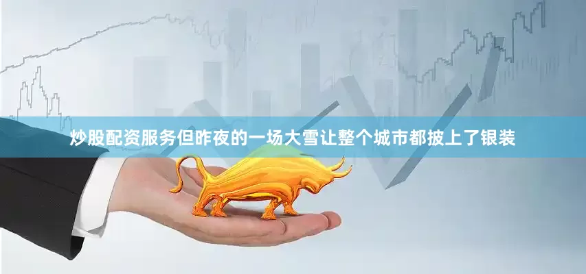 炒股配资服务但昨夜的一场大雪让整个城市都披上了银装