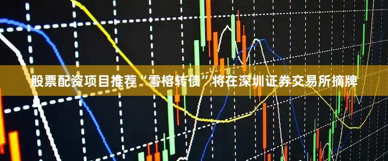 股票配资项目推荐“雪榕转债”将在深圳证券交易所摘牌