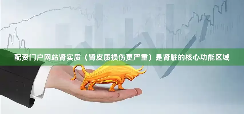 配资门户网站肾实质（肾皮质损伤更严重）是肾脏的核心功能区域