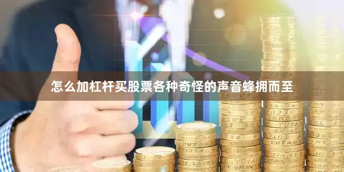 怎么加杠杆买股票各种奇怪的声音蜂拥而至